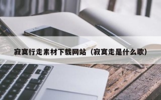 银川寂寞行走素材下载网站（寂寞走是什么歌）